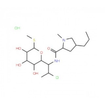 Clindamycin Hydrochloride Monohydrate Clindamycin Hydrochloride Monohydrate