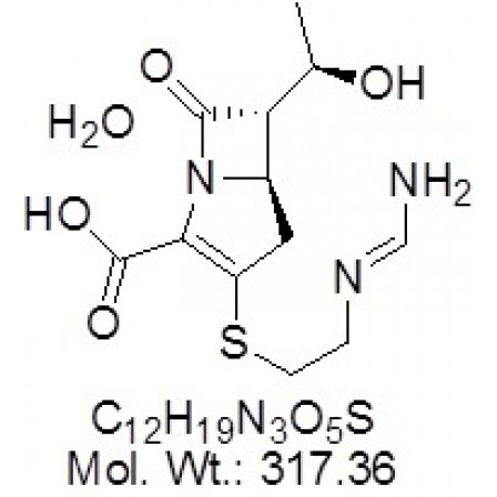 Imipenem Monohydrate