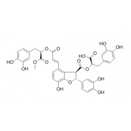 9'''-Methyl Salvianolate B