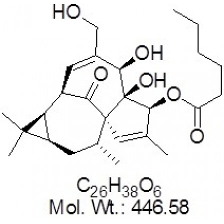 Ingenol 3-Hexanoate