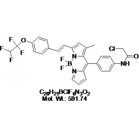 PT-Yellow (BDNCA3-D2)
