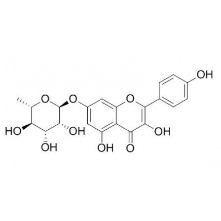 Kaempferol 7-O-rhamnoside