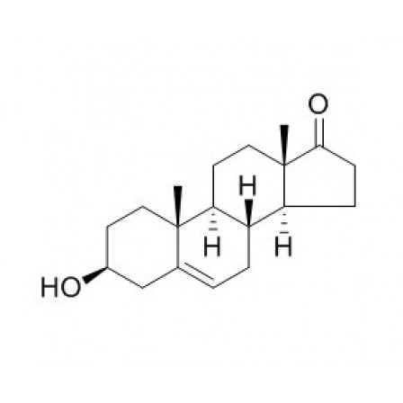 Dehydroepiandrosterone
