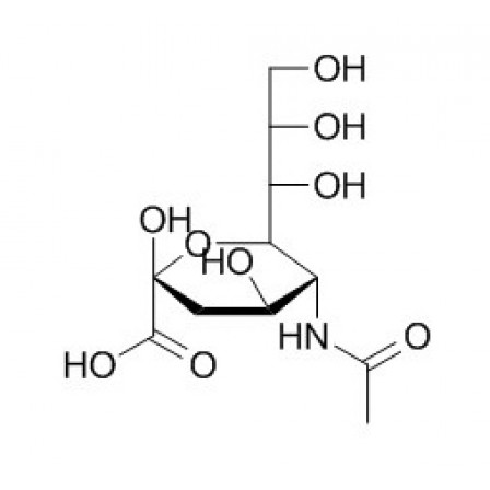 N-Acetylneuraminic Acid