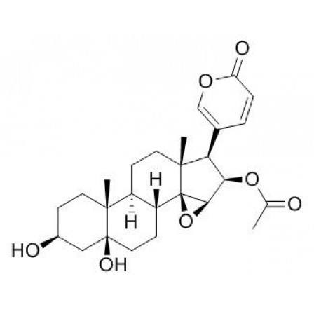 Cinobufotalin