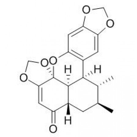 Sauchinone