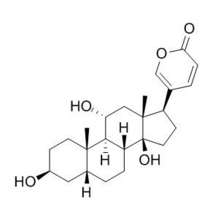 Gamabufotalin