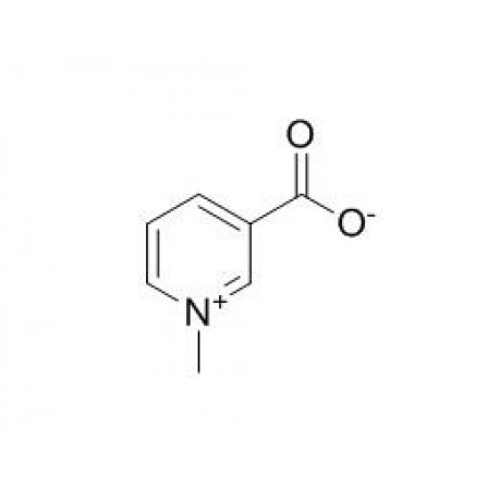 Trigonelline