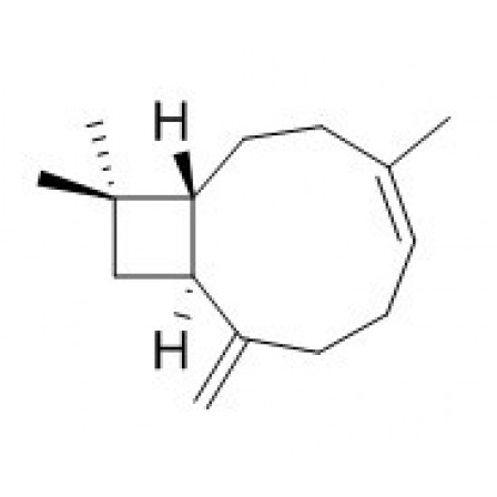 Trans-Caryophyllene