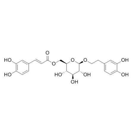 Calceolarioside B