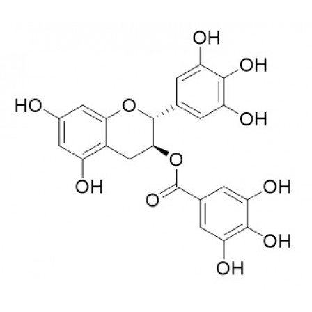 Gallocatechin Gallate