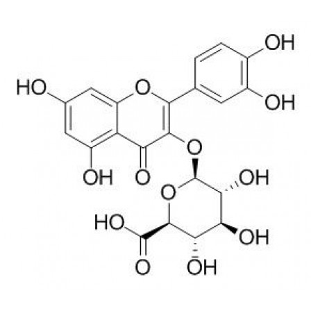 Quercetin-3-O-glucuronide