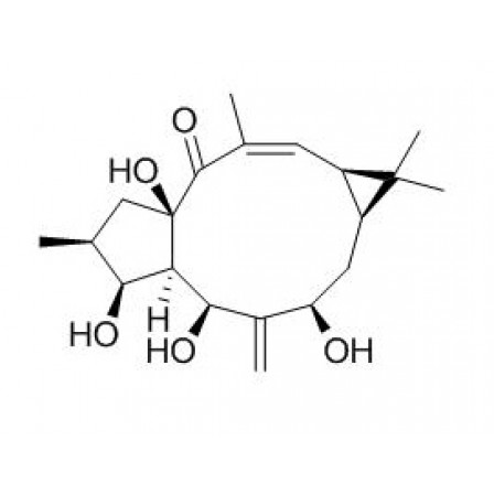7-beta-Hydroxylathyrol