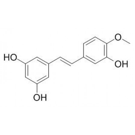 Rhapontigenin
