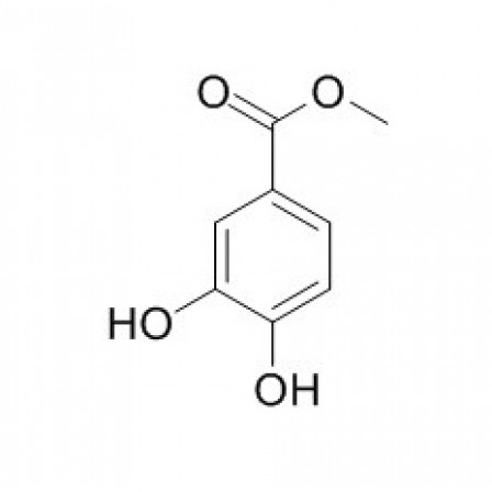 Protocatechuic Acid Methyl Ester