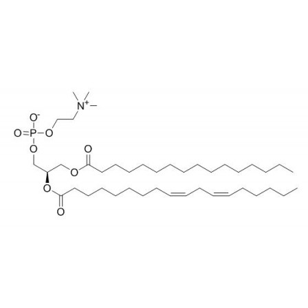Soybean Phospholipid