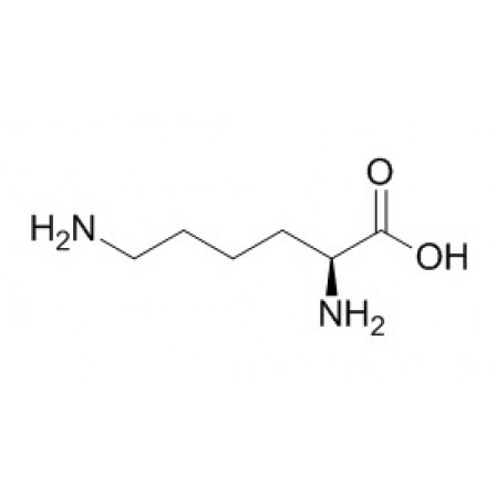 L-lysine