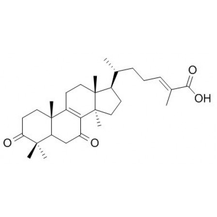 Ganoderic Acid DM