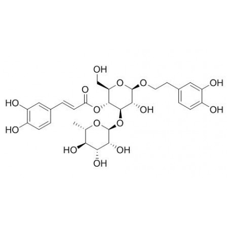 Acteoside