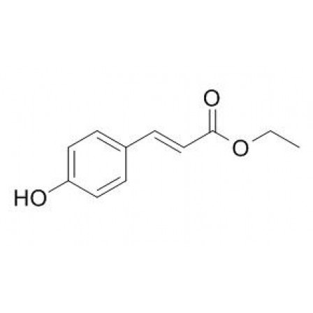 P-Coumaric Acid Ethyl Ester