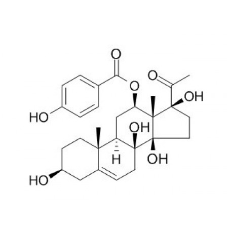 Qingyangshengenin