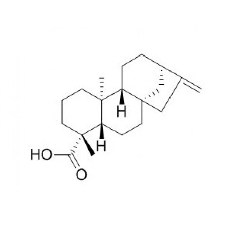 Kaurenoic Acid