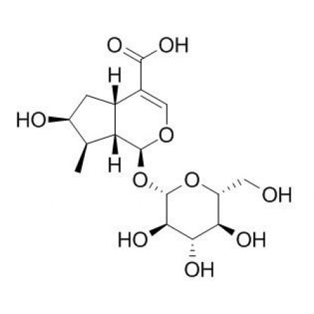 Loganic Acid
