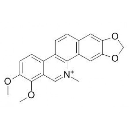 Chelerythrine