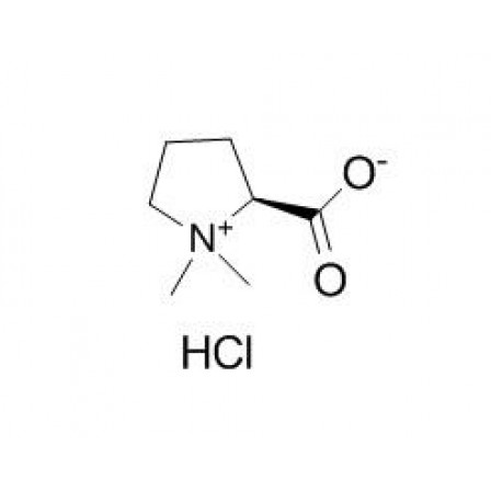 Stachydrine Hydrochloride
