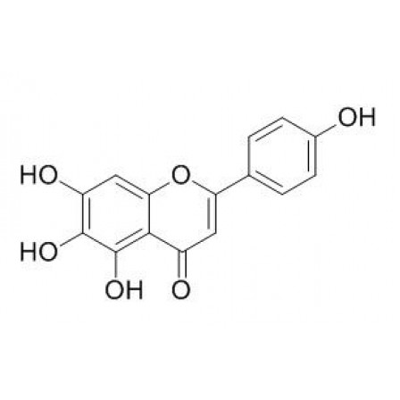 Scutellarein