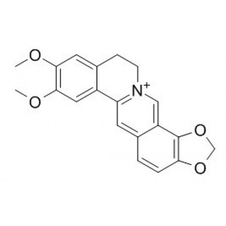 Epiberberine