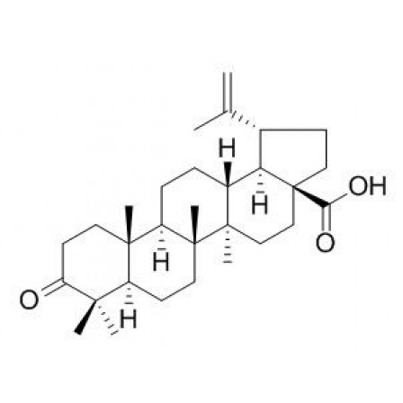 Betulonic Acid
