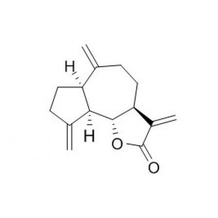 Dehydrocostus Lactone