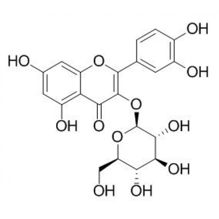 Isoquercitrin
