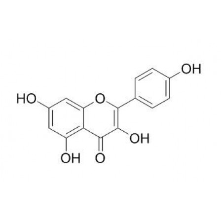 Kaempferol