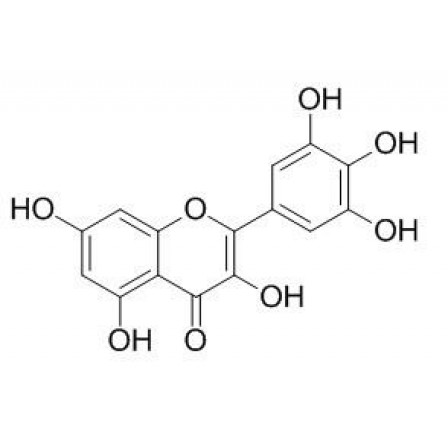 Myricetin
