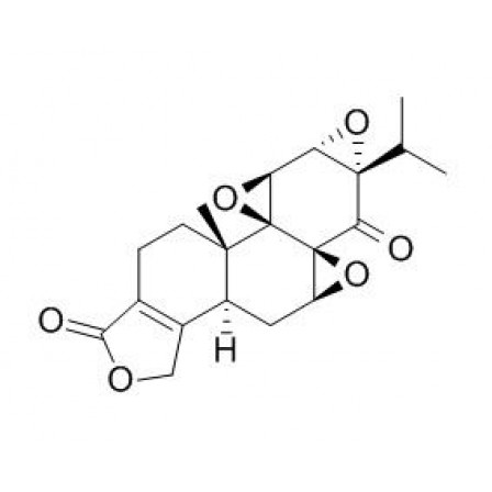 Triptonide
