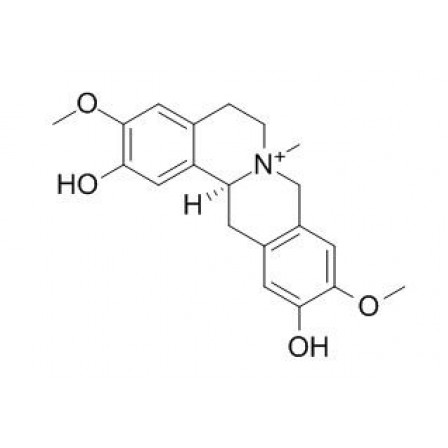 Phellodendrine