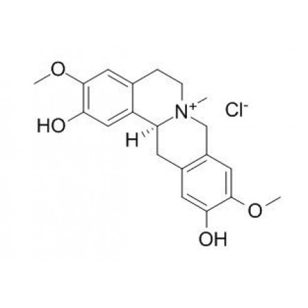 Phellodendrine Chloride