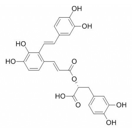 Salvianolic Acid A