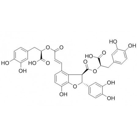 Salvianolic Acid B