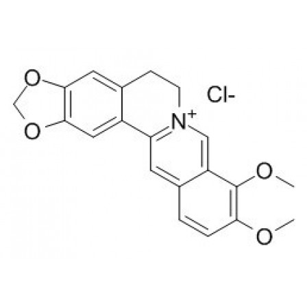Berberine Hydrochloride