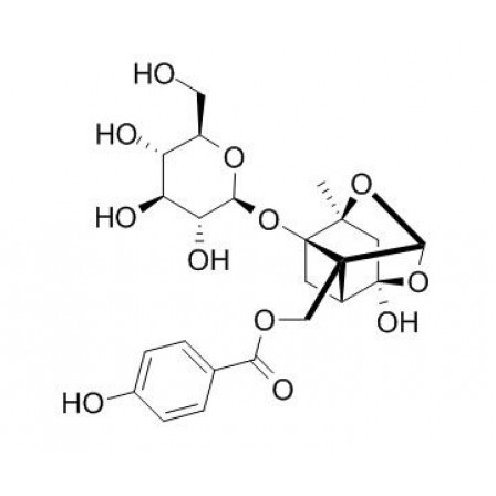 Oxypaeoniflorin