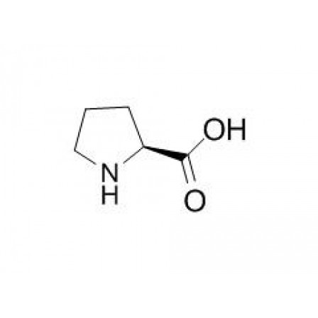 Proline