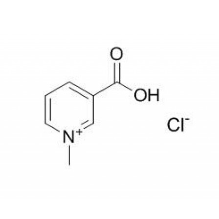 Trigonelline Hydrochloride