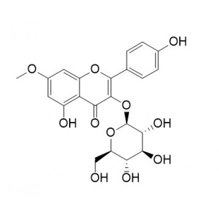 Rhamnocitrin 3-glucoside