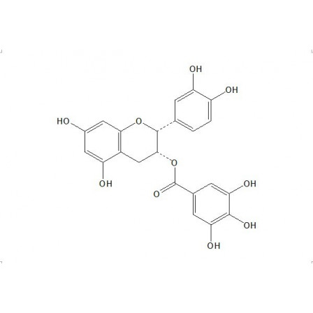 Epicatechin Gallate