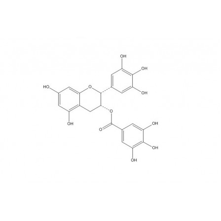 Epigallocatechin Gallate